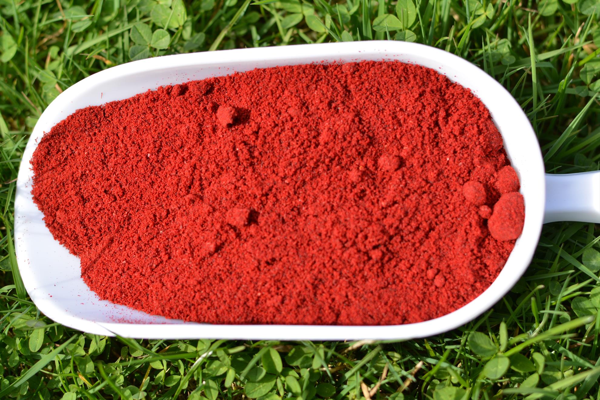 Probaits a publicat pe site preturile engros la ingredientele pentru boilies.